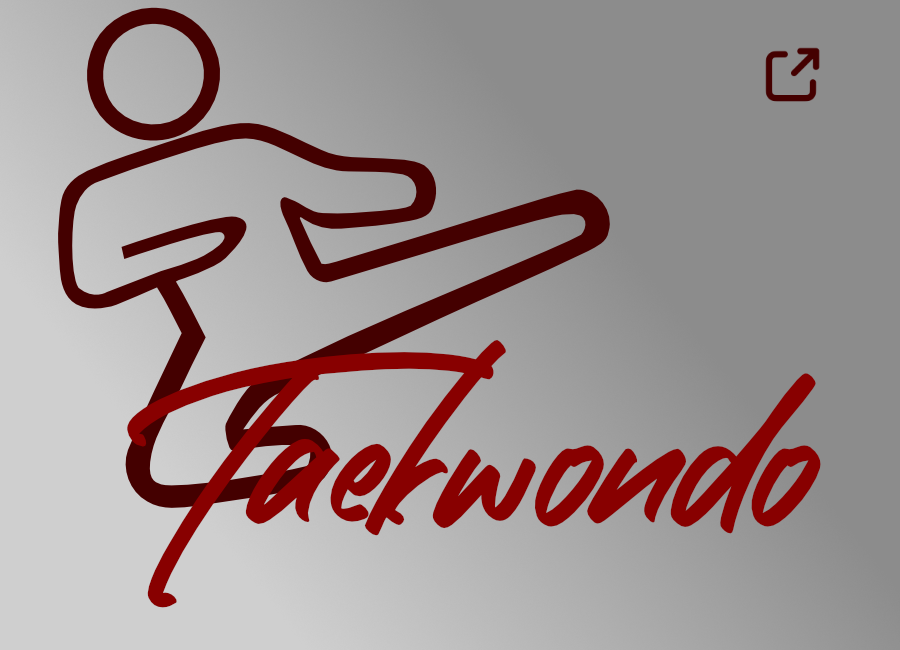 Abteilung Taekwondo
